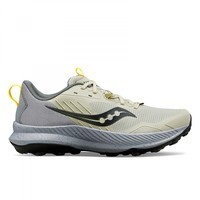 Фото Кроссовки мужские Saucony Blaze TR Stone/Black S20845-110